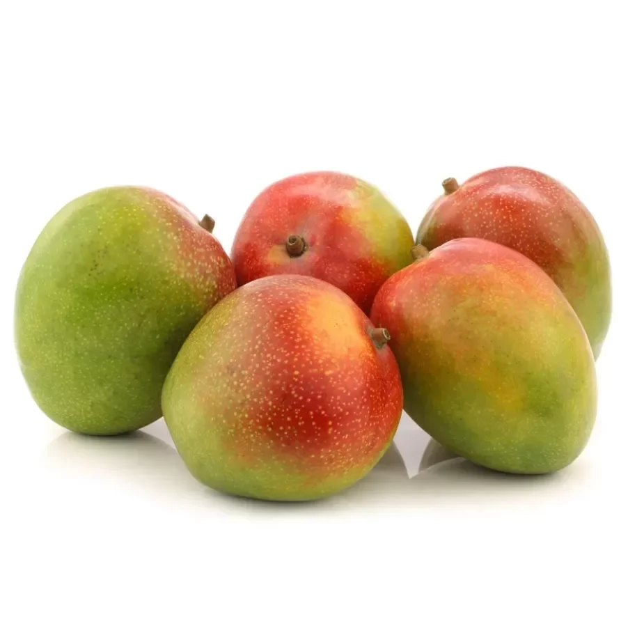 Kent Mango Peru