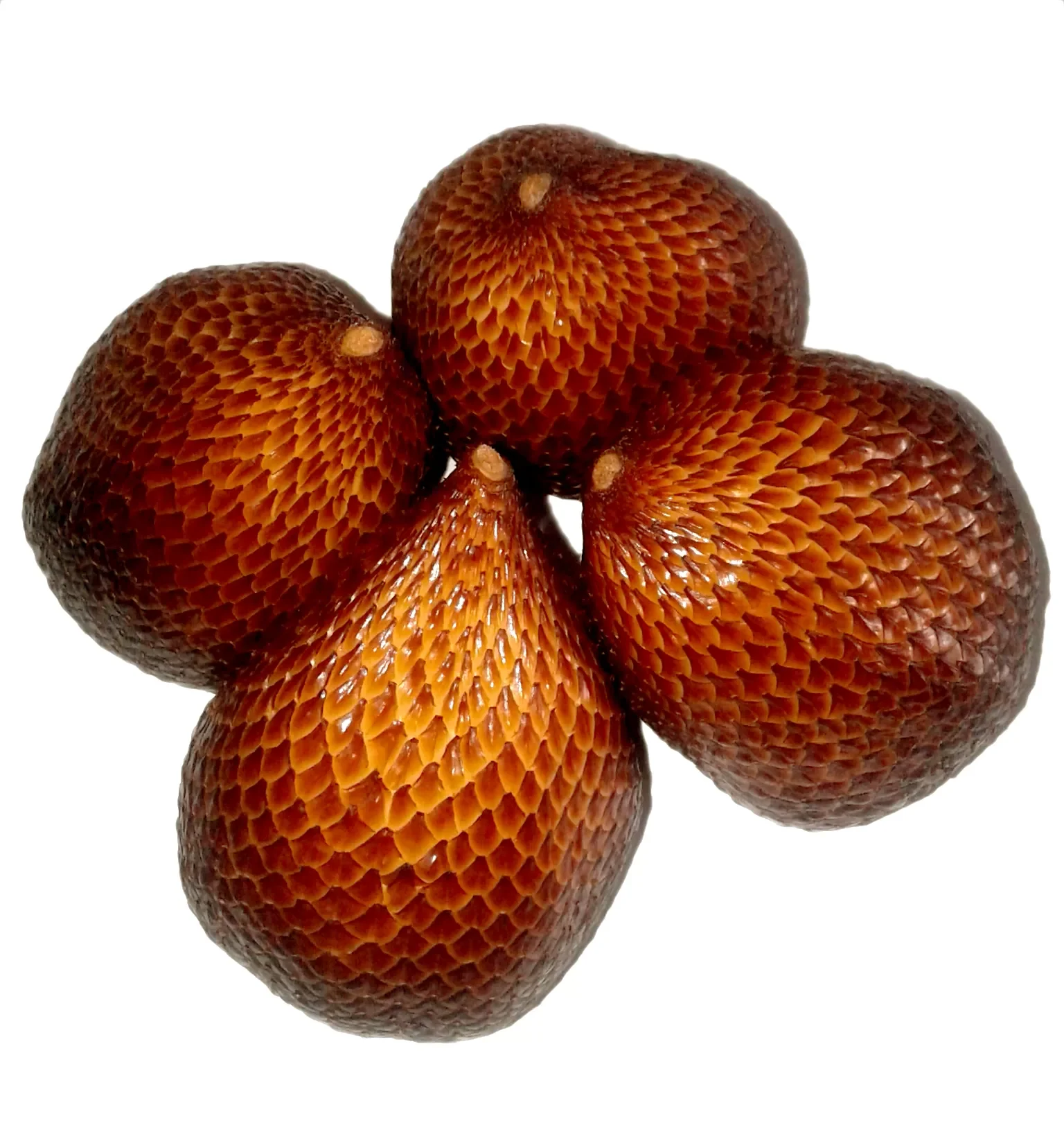 Snake Fruit / Salacca Indonesia
