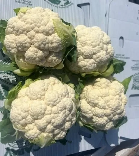 Organic Cauliflower United States