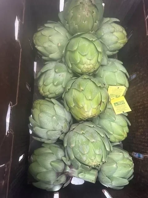 Organic Green Artichoke United States