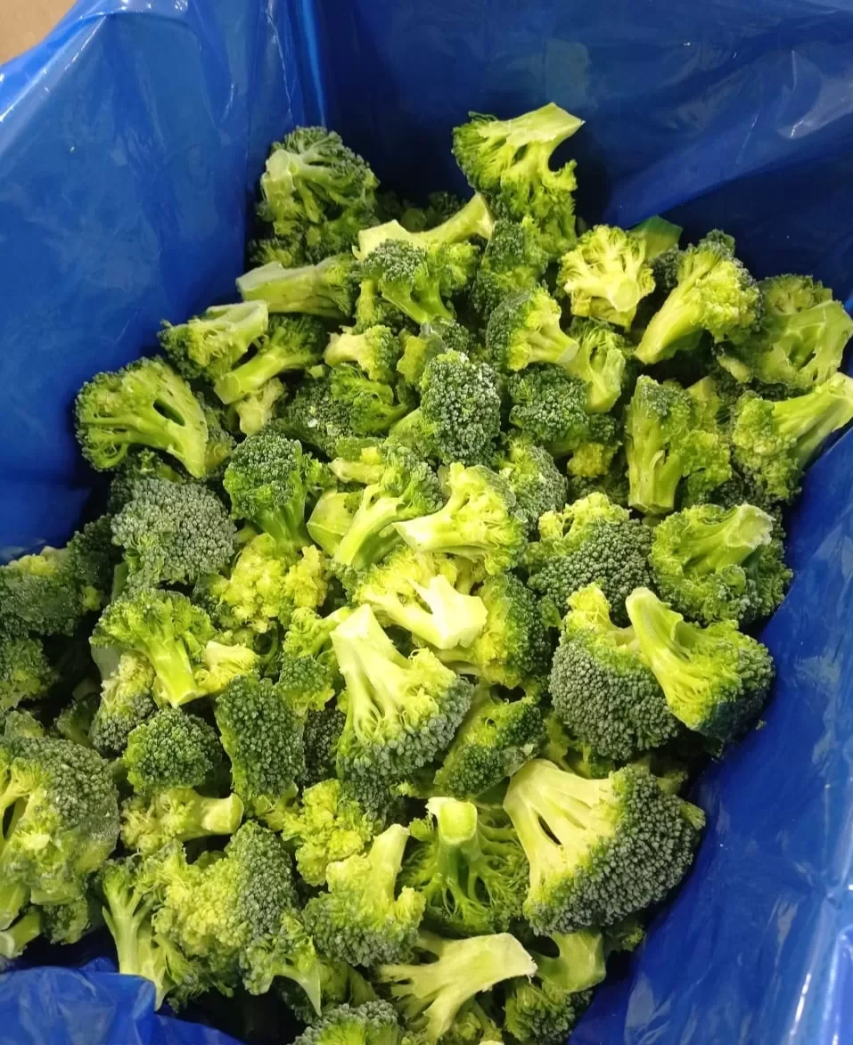 IQF Broccoli Florets 30-50 cuts Egypt