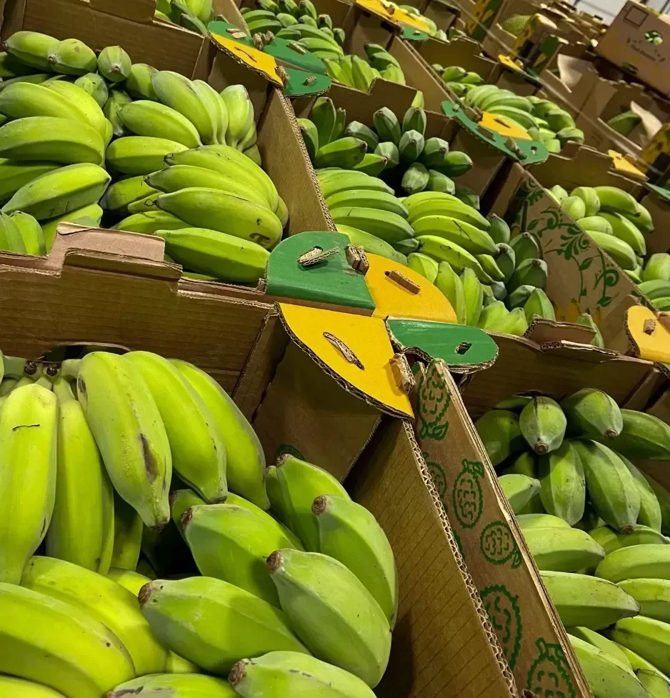 Thai Bananas Mexico