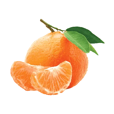 Mandarins Egypt
