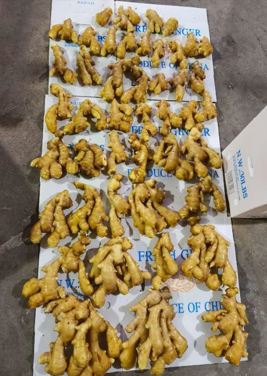 Fresh Ginger China