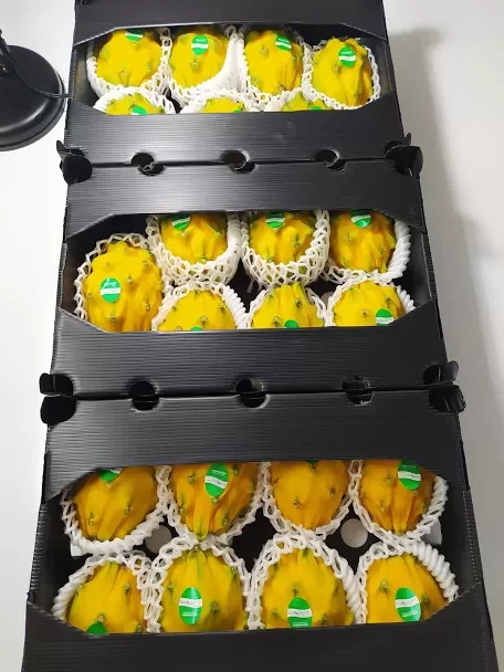 Yellow Dragon Fruit Ecuador