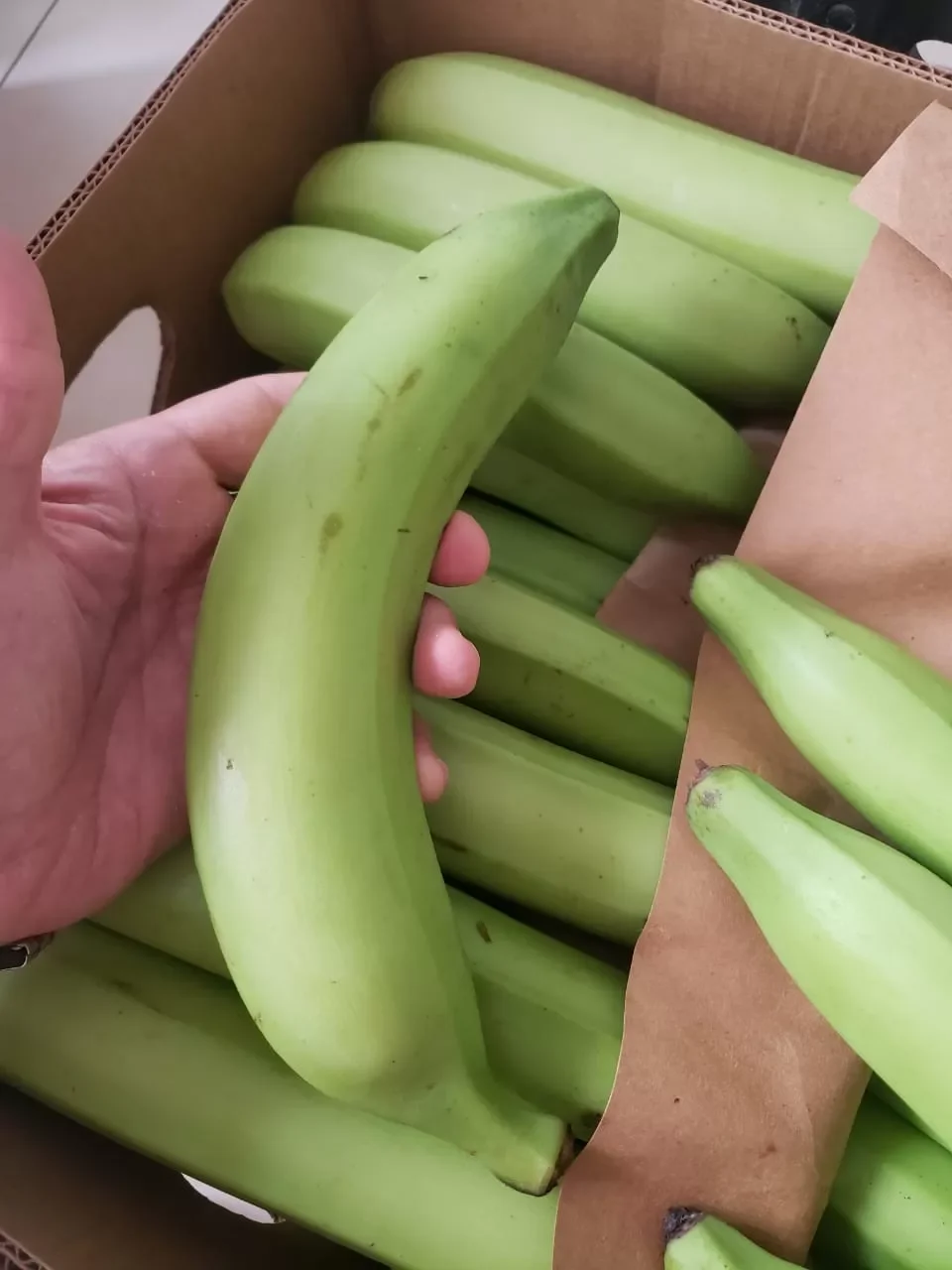 Green Plantains Panama
