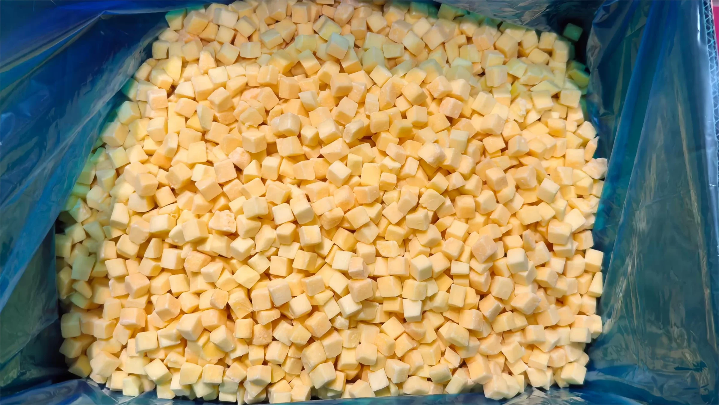 IQF Mango Cubes China