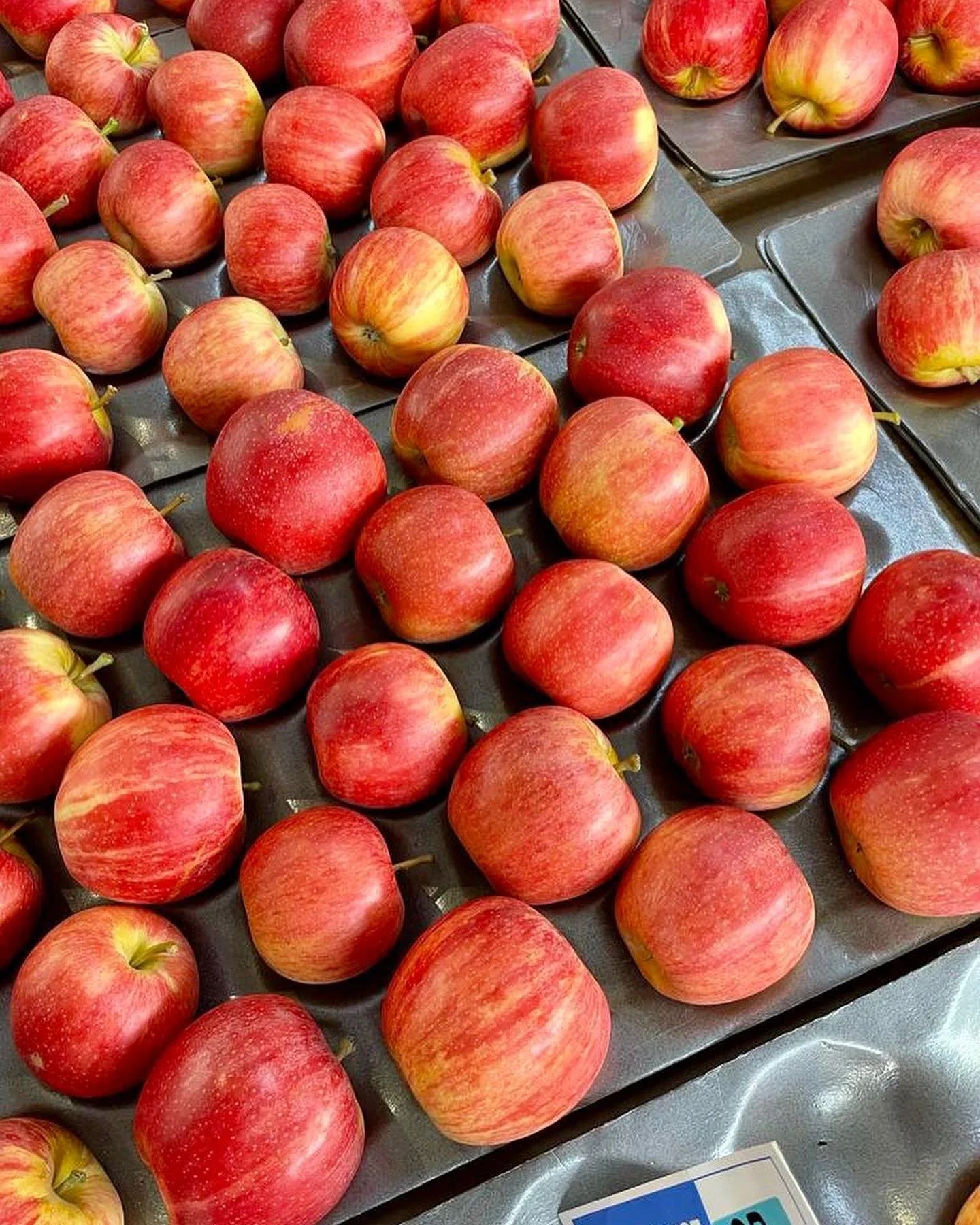 Fresh Apples
